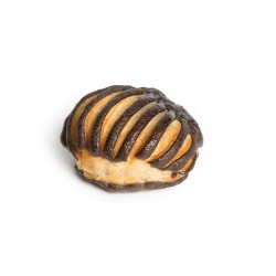 MINI COQUILLE (cj) DÚO CACAO