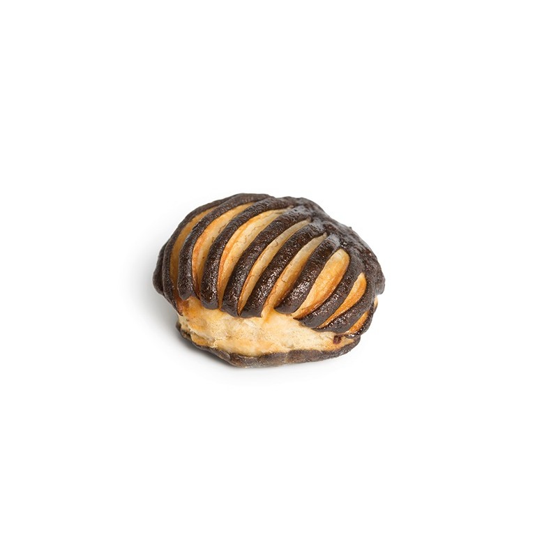 MINI COQUILLE (cj) DÚO CACAO