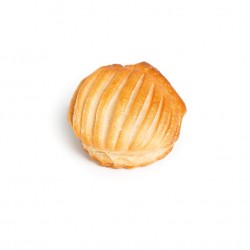 MINI COQUILLE (cj) DÚO CREMA