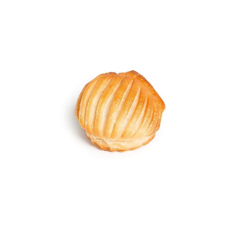 MINI COQUILLE (cj) DÚO CREMA