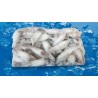PUNTILLA (kg) MARRUECOS EXTRA