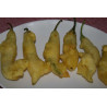 CAPIROTE GUINDILLA EN TEMPURA