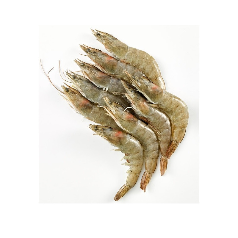 LANGOSTINO (kg) SALVAJE CRUDO 30/40 6*2k