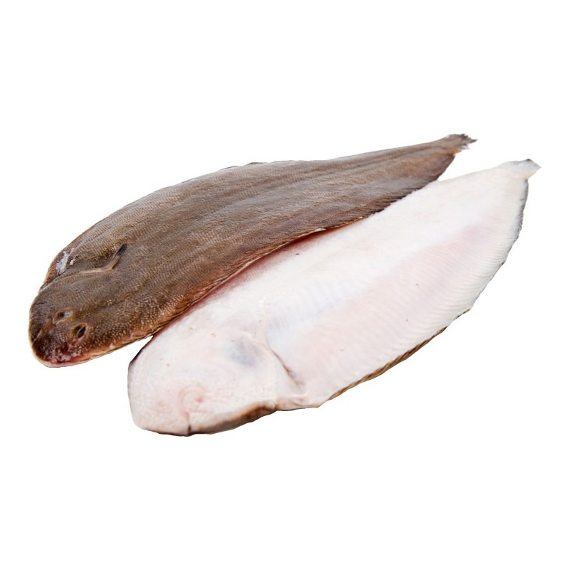 LENGUADO (kg) TIGRE 300/400 +-14kg