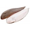 LENGUADO (kg) TIGRE 300/400 +-14kg