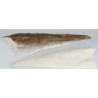 FILETE (kg) BACALAO +1000 ICELANDIC 11kg