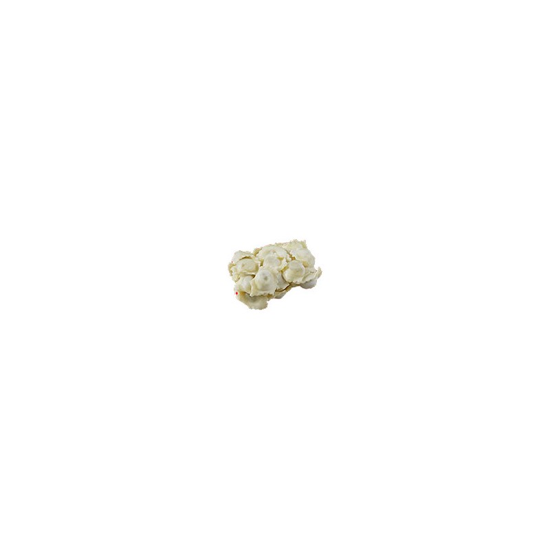 RAVIOLI (kg) TERNERA GRANEL 4kg