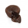 COULAND CHOCO KÖRFEST 75 grs