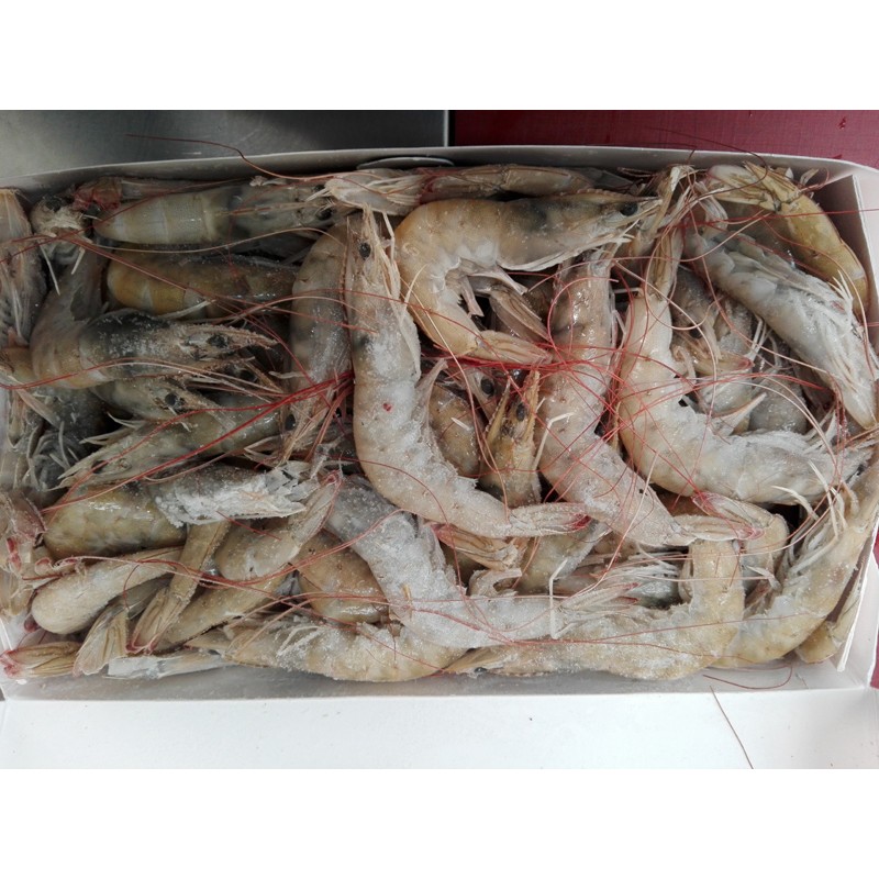 LANGOSTINO (kg) SORIANO 50/60 10x2kg