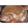 RODABALLO (kg) SALVAJE 300/500gr 5kg