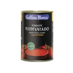 TOMATE (ud) TRITURADO G.B.4kg